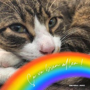 Meet your Posher, Nancy paul